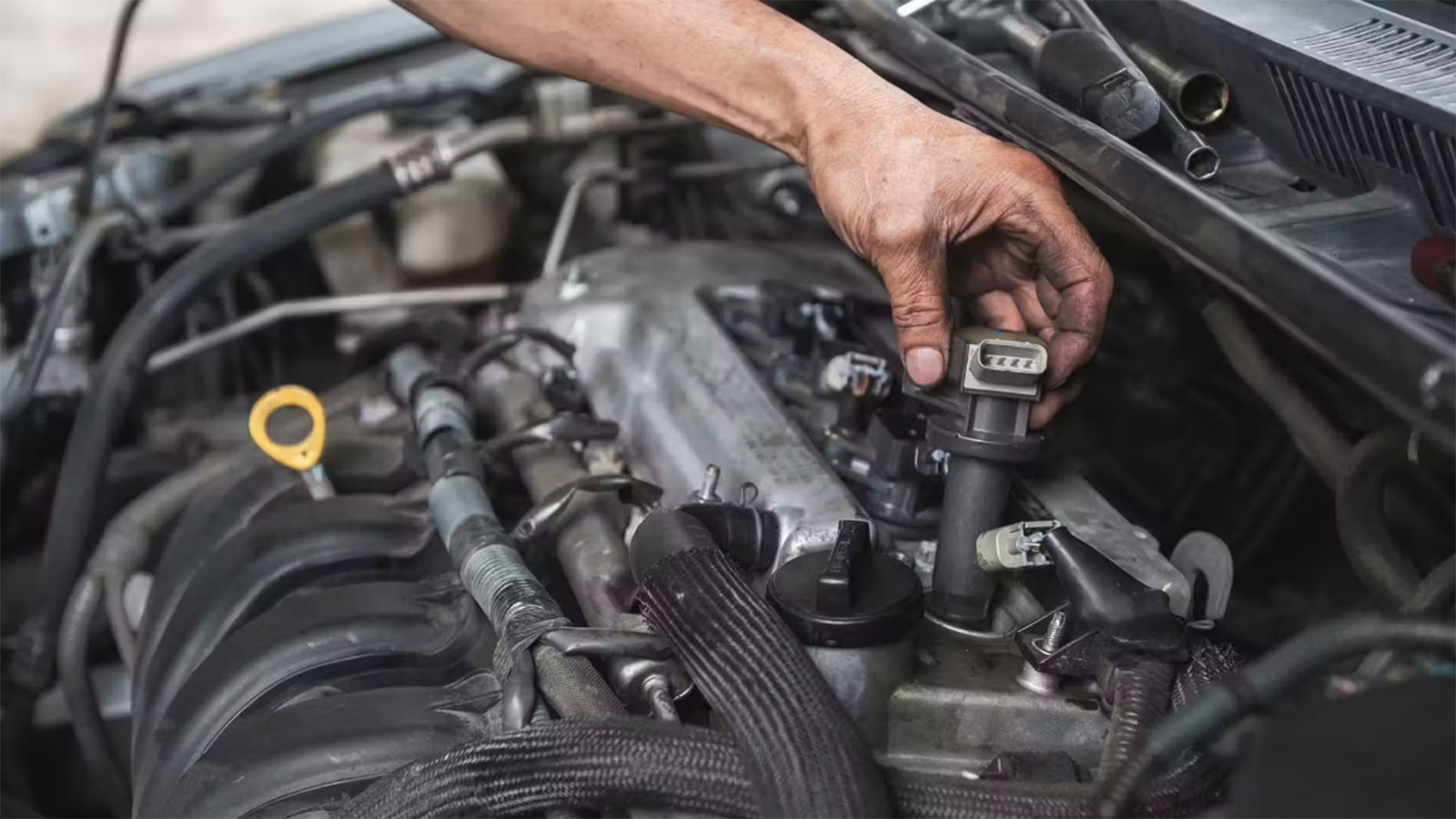 Πολλαπλασιαστές: Ποια η λειτουργία τους και τα συμπτώματα βλάβης